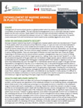 Entanglement of marine animals in plastic